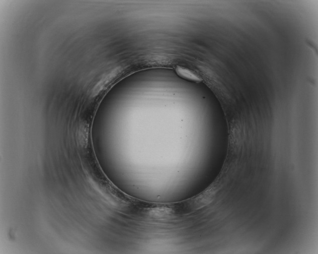 X0000103430168200809191709