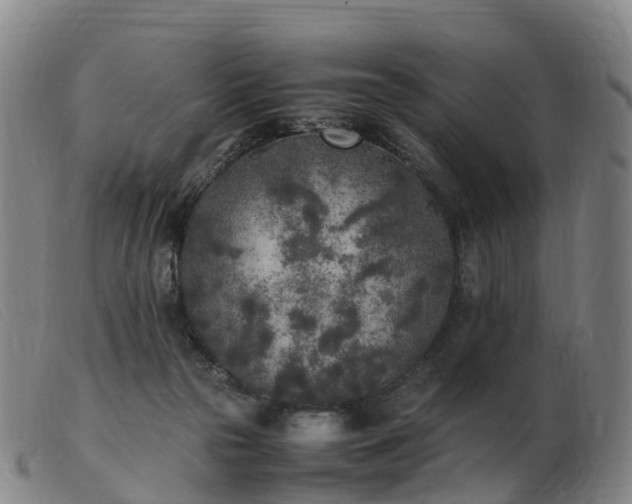 X0000103430169200809191709