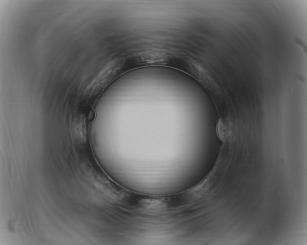 X0000103430170200809191709