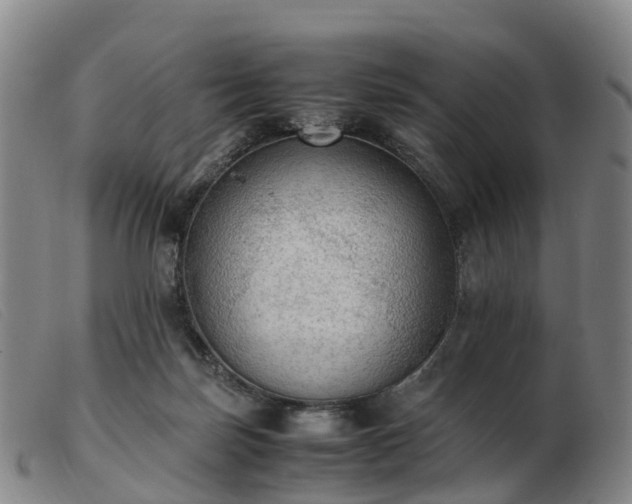 X0000103430171200809191709