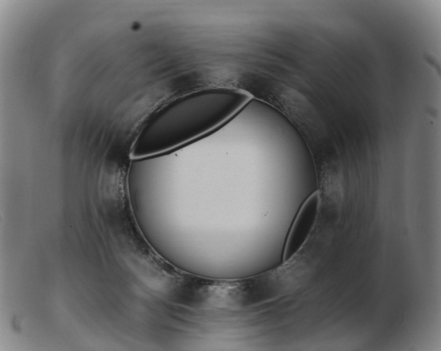 X0000103430172200809191709