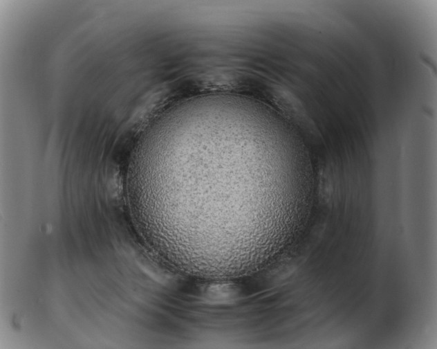 X0000103430173200809191709