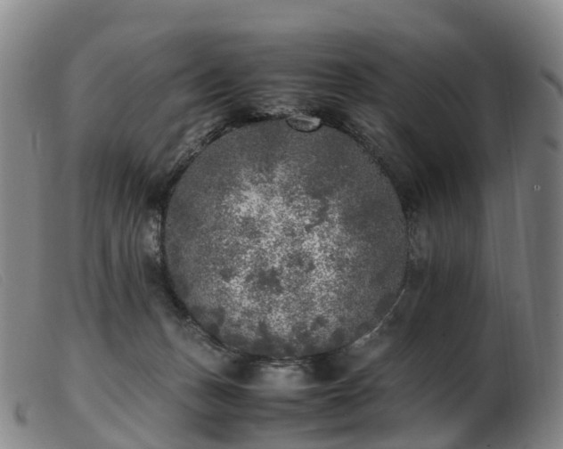 X0000103430175200809191709