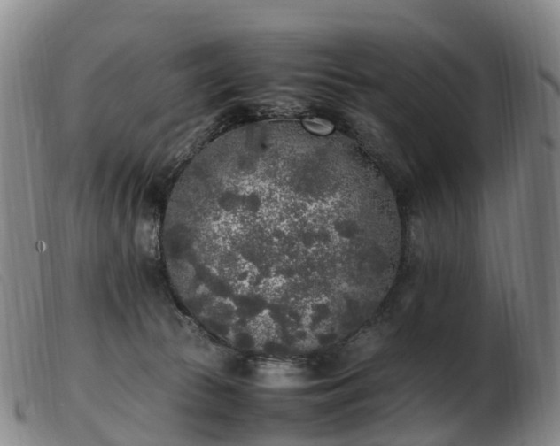 X0000103430177200809191709