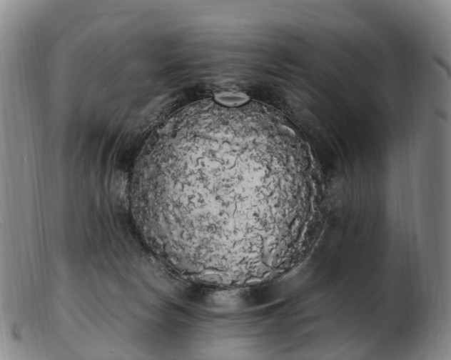 X0000103430178200809191709