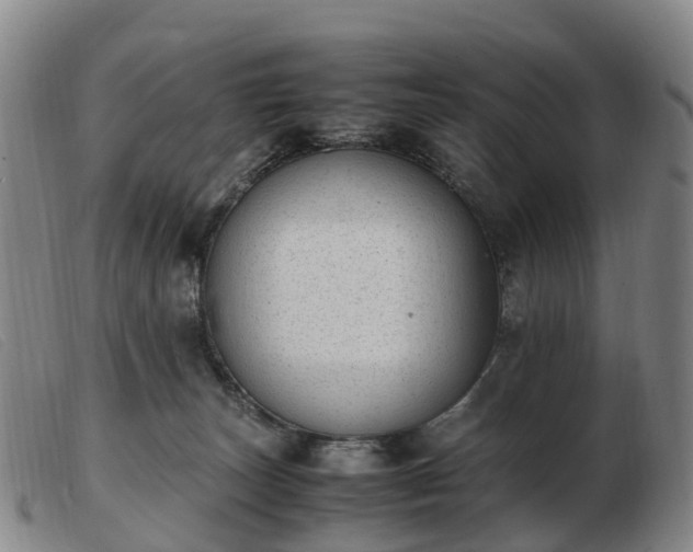 X0000103430179200809191709