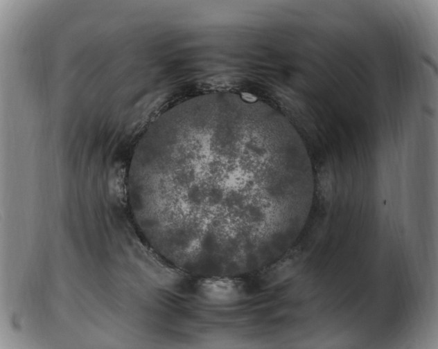 X0000103430181200809191709