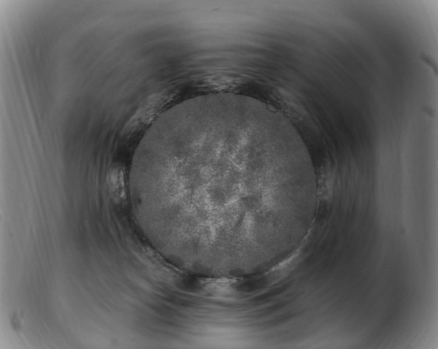 X0000103430182200809191709