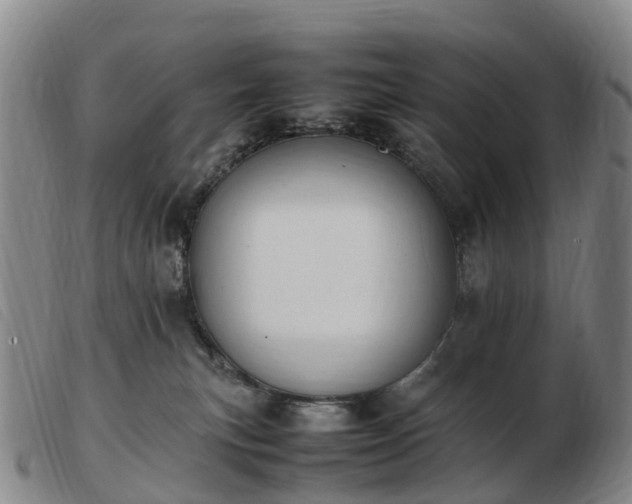 X0000103430183200809191709