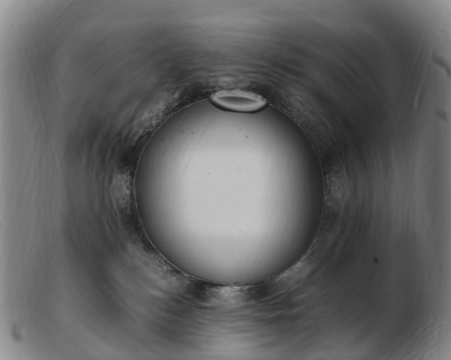 X0000103430184200809191709