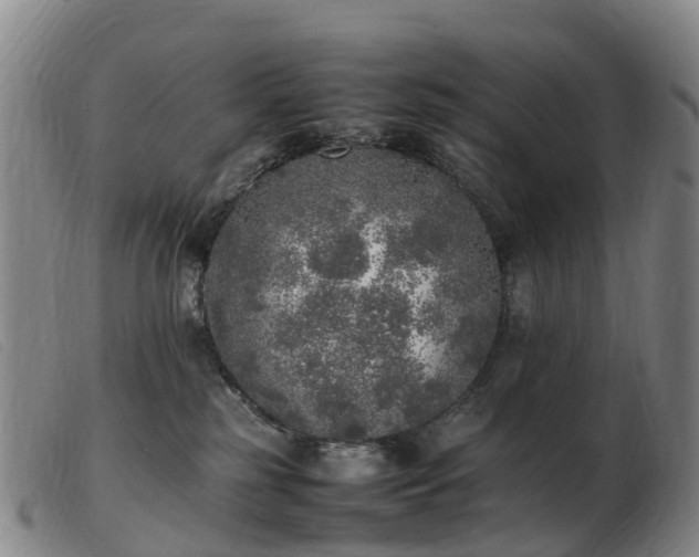 X0000103430185200809191709