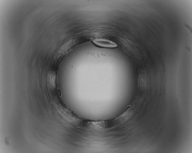 X0000103430188200809191709