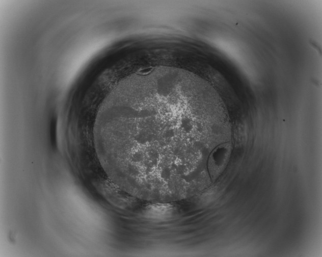 X0000103430189200809191709