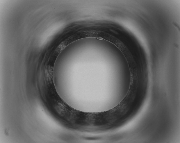 X0000103430190200809191709