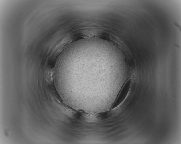 X0000103430191200809191709