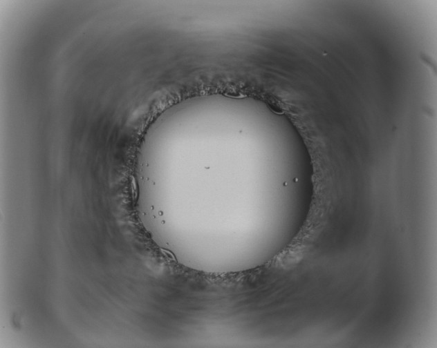 X0000103430192200809191709