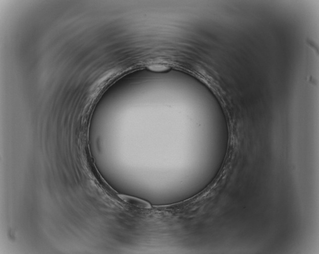 X0000103430193200809191709