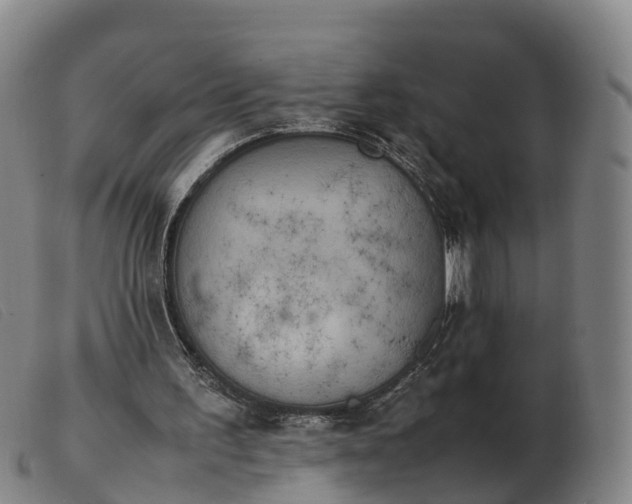 X0000103430195200809191709