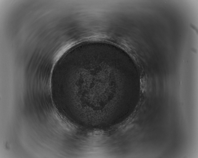 X0000103430196200809191709