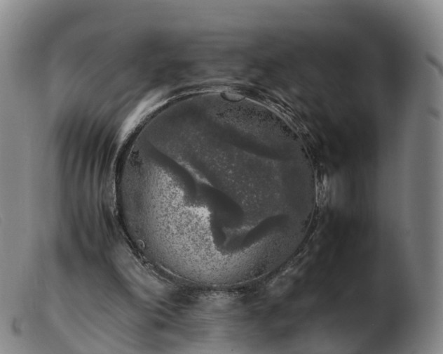 X0000103430198200809191709