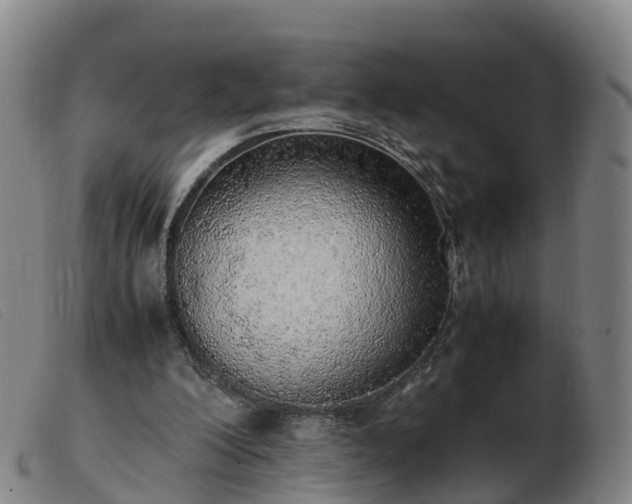 X0000103430200200809191709