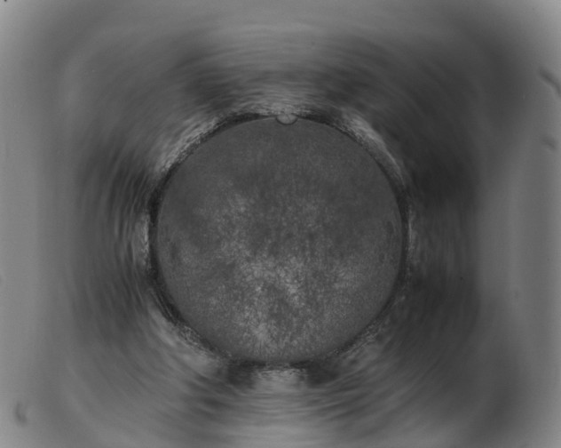 X0000103430202200809191709