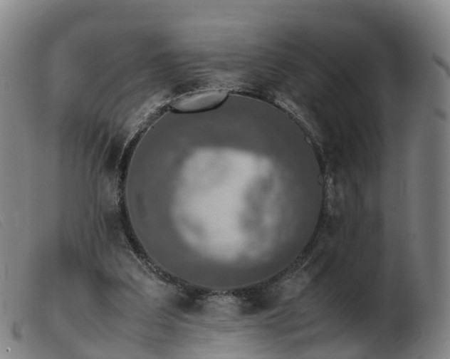 X0000103430203200809191708