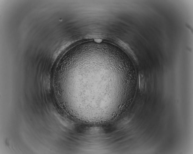X0000103430204200809191708