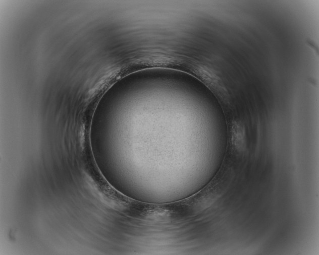 X0000103430206200809191708