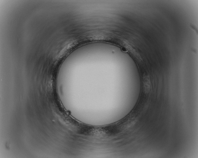 X0000103430207200809191708