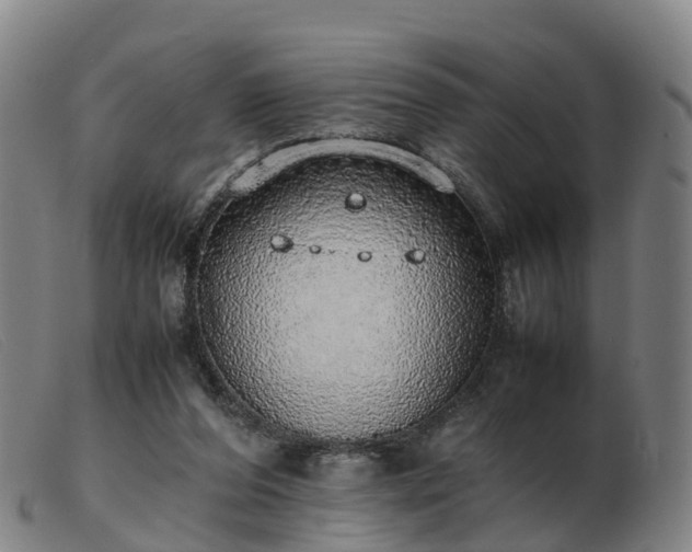 X0000103430208200809191708