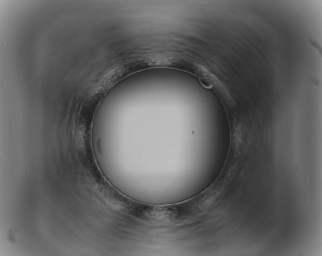 X0000103430209200809191708