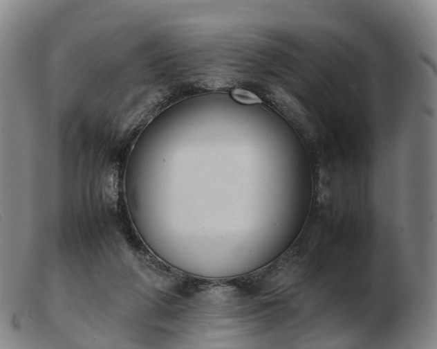 X0000103430210200809191708