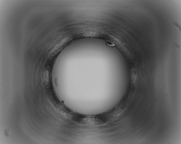 X0000103430211200809191708