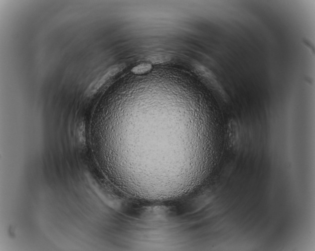 X0000103430212200809191708