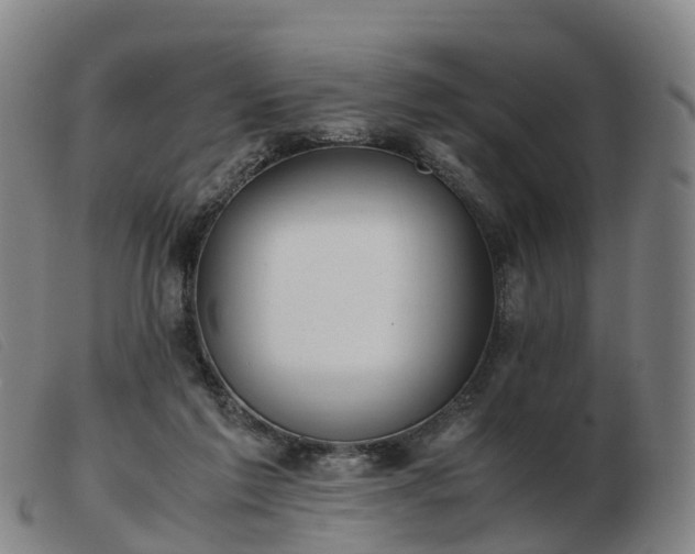 X0000103430213200809191708