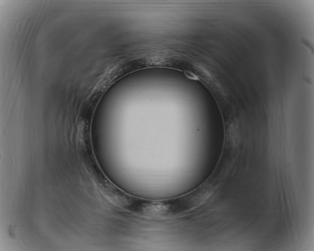 X0000103430217200809191708