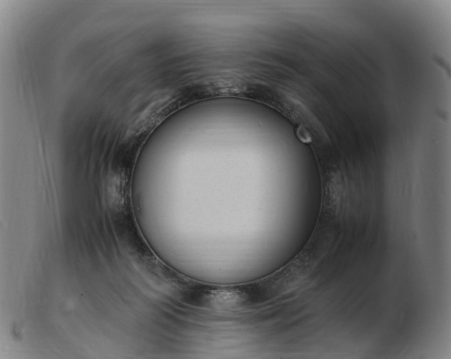 X0000103430218200809191708