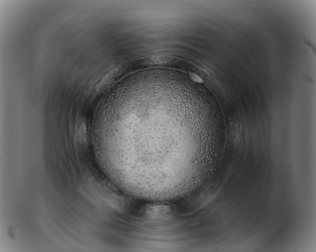 X0000103430220200809191708
