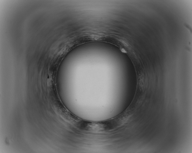 X0000103430221200809191708