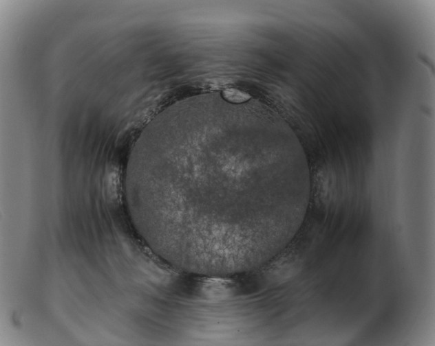 X0000103430222200809191708