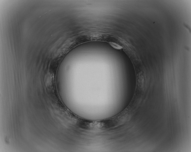 X0000103430225200809191708