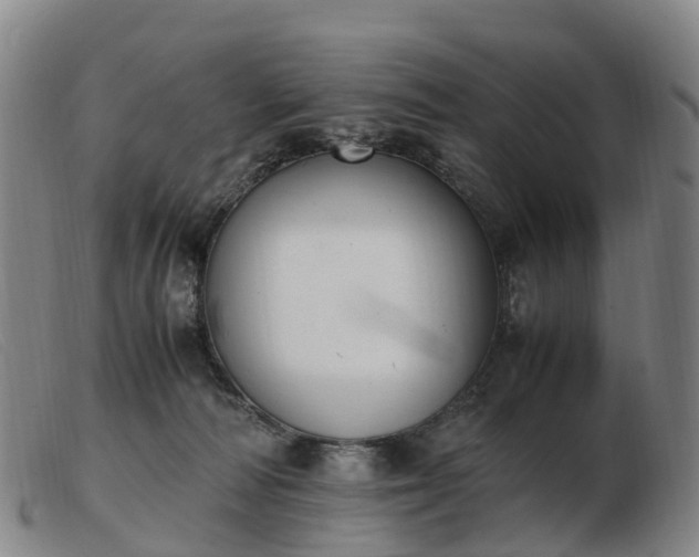 X0000103430226200809191708