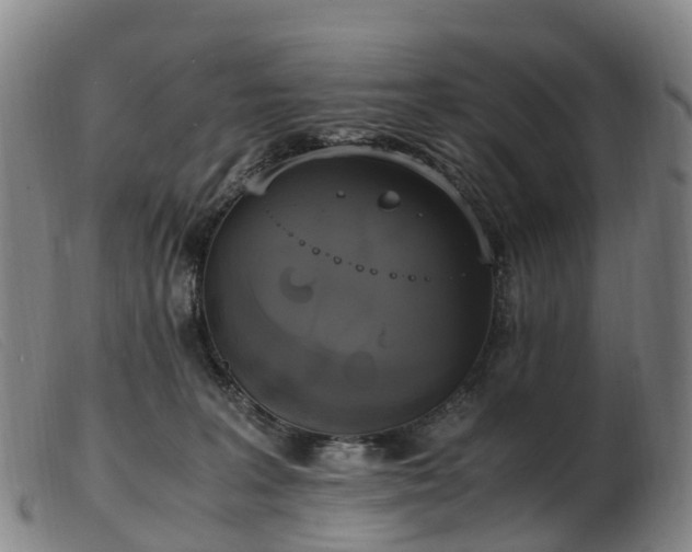 X0000103430227200809191708
