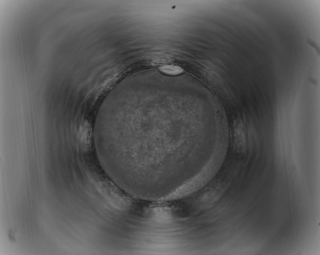 X0000103430228200809191708