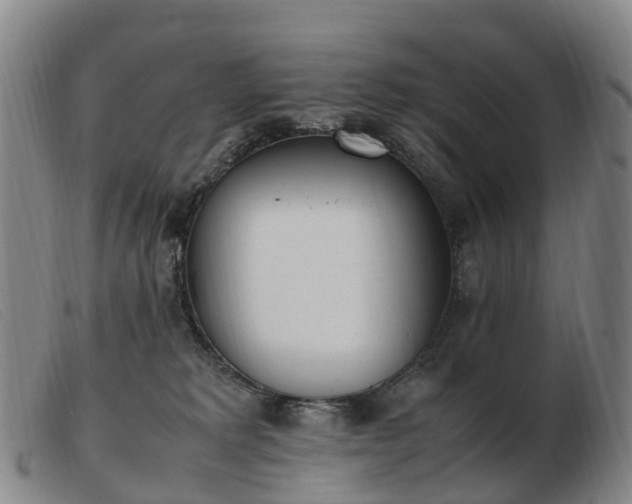 X0000103430229200809191708