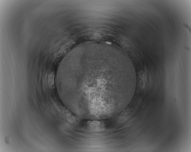 X0000103430230200809191708