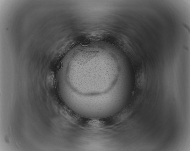 X0000103430231200809191708
