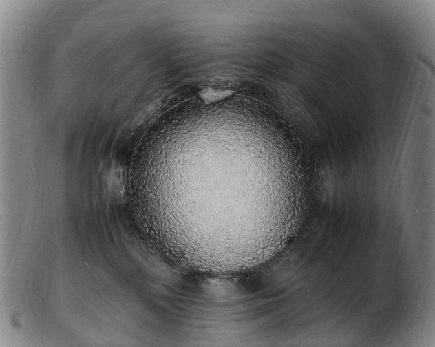 X0000103430232200809191708