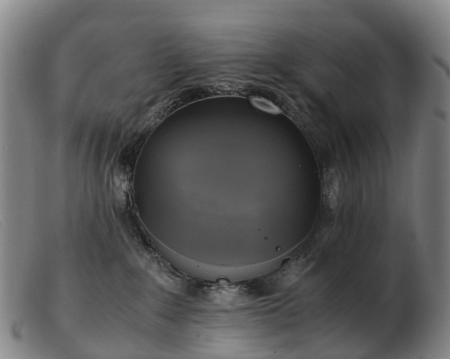 X0000103430235200809191708